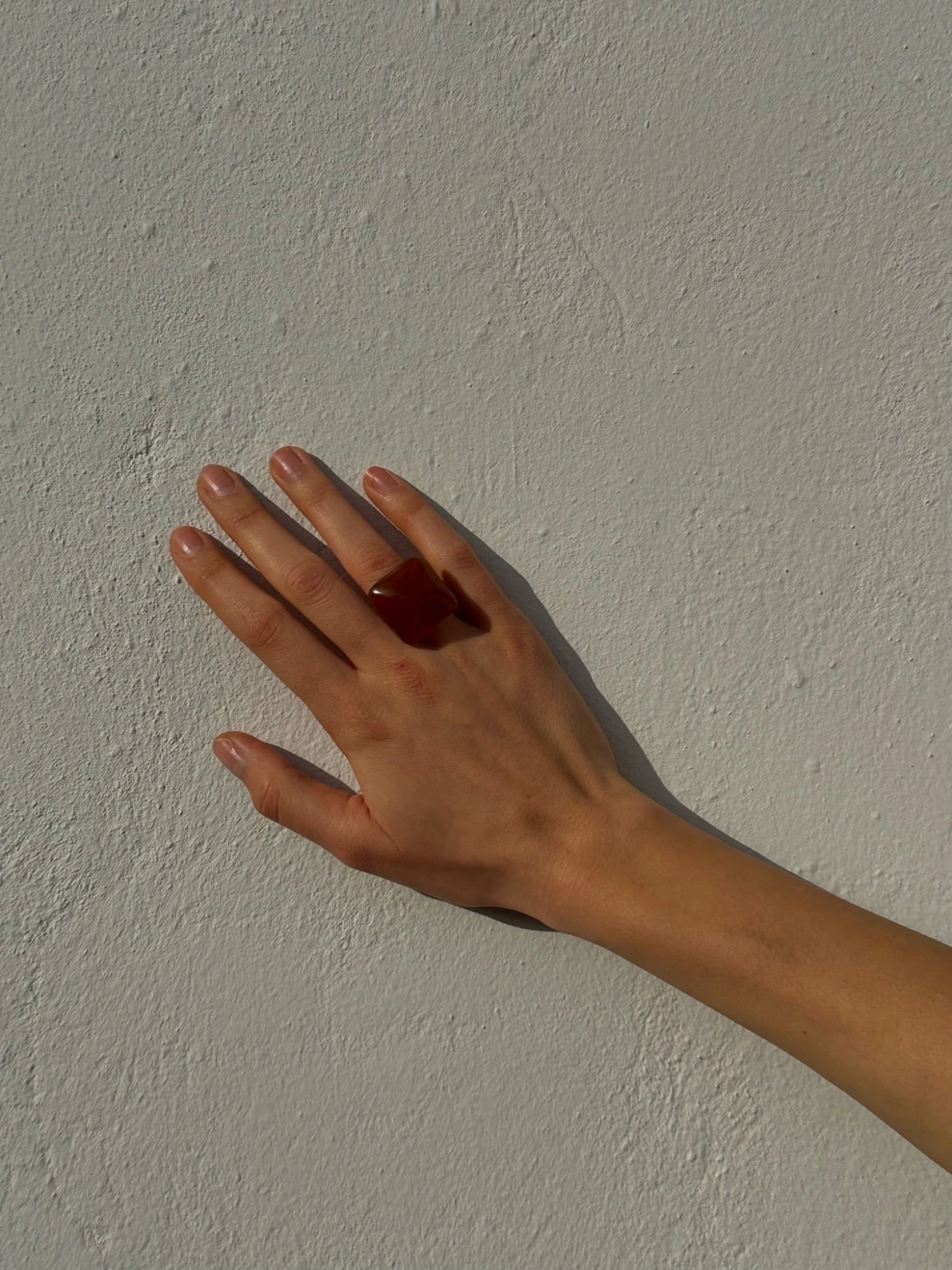 Chestnut Ring 5 Chestnut Ring - Image 3