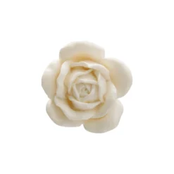 Rosy White Ring 13 Rosy White Ring -Fashion Clothing Store RosyWhiteRing 4